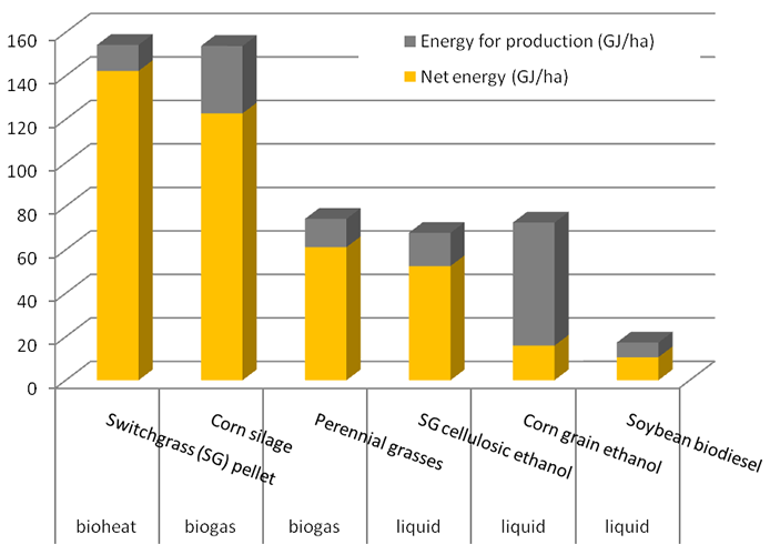 Chart showing energy from biogas, other sources